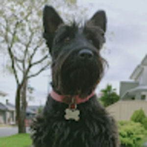 Meet your Posher, Zoë